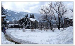 Himachal Tour Packages